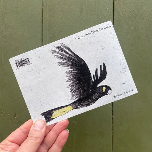 Yellow-tailed Black Cockatoo Sticker 1