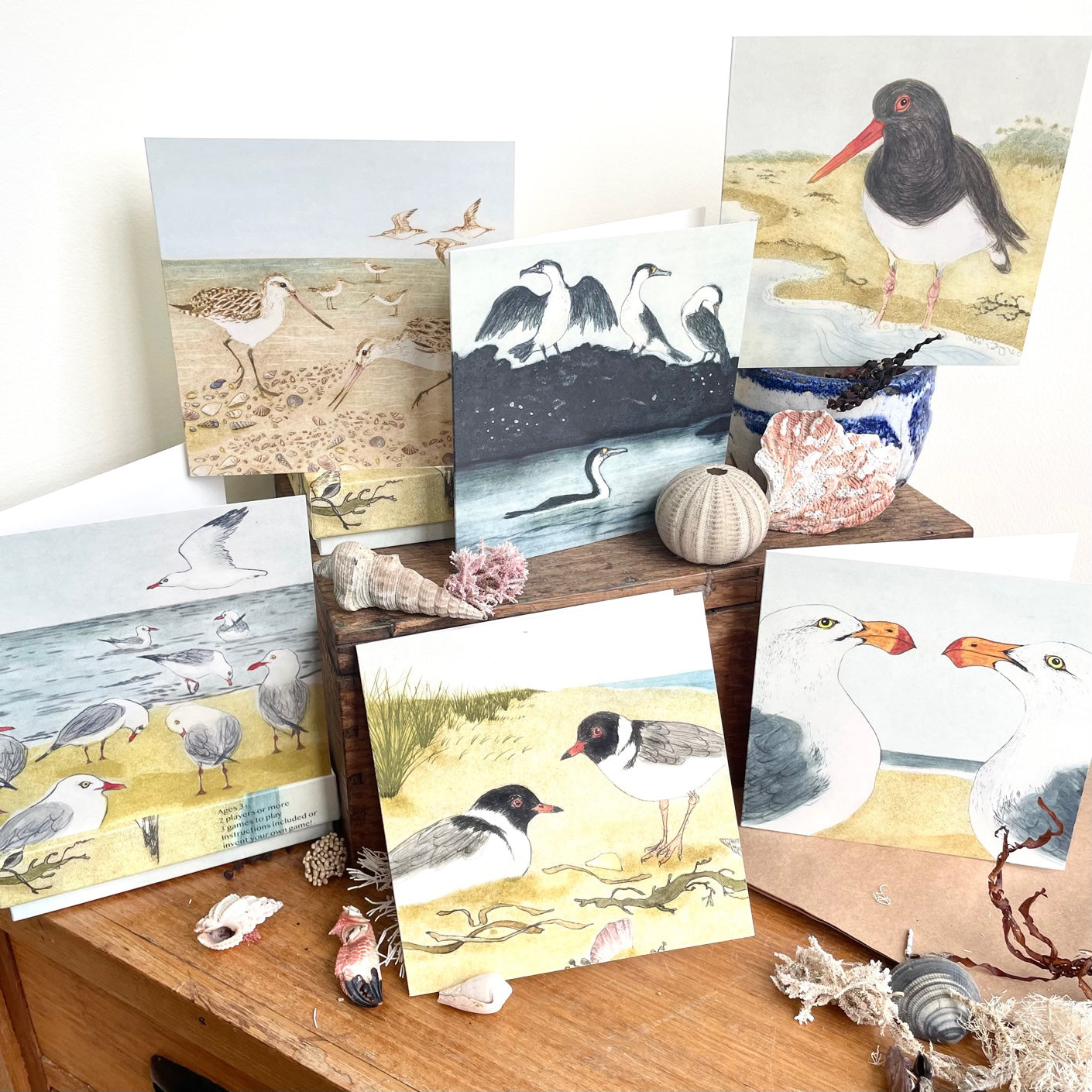 Greeting Cards - Collection of Six Cards of The Beach Birds Illustrations