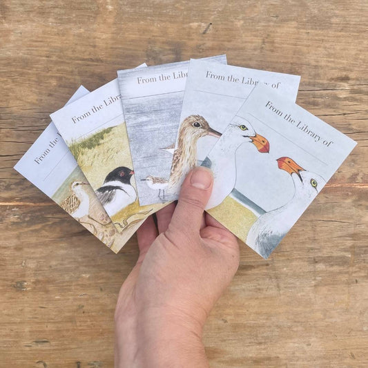 Bookplates - Beach Birds - Set of 5