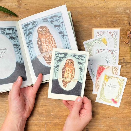 Greeting Card - Southern Boobook "I am a Magpie" Collection