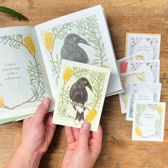 Greeting Card - Pied Currawong "I am a Magpie" Collection