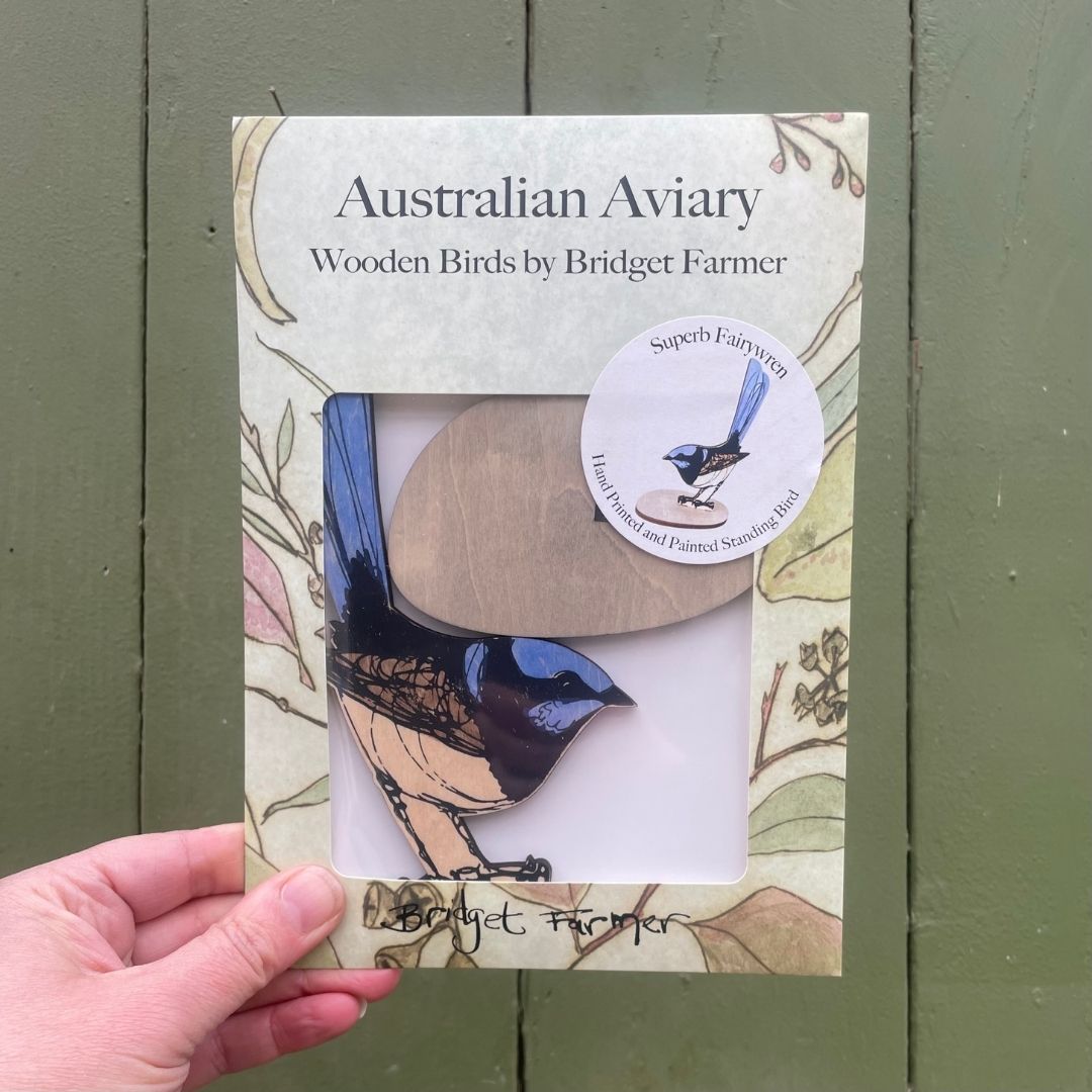 Standing Bird - Superb Fairy Wren