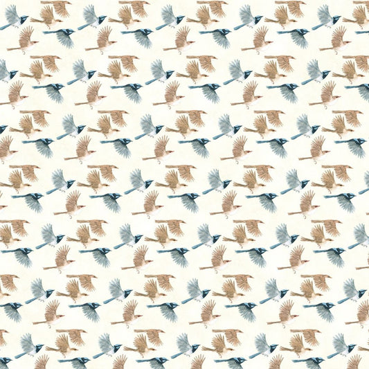Superb Fairywren Wrapping Paper