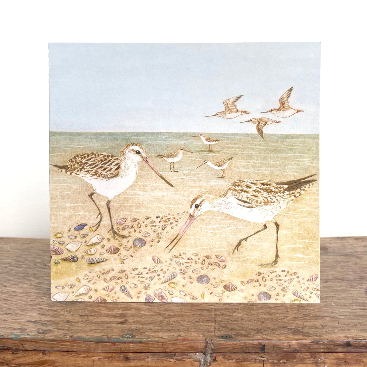 QUICK ORDER - 18 x Beach Bird Greeting Cards (3 x 6 designs)