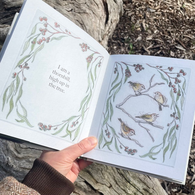 I am a Magpie, I am a Currawong ~ CBCA 2025 Shortlist Book