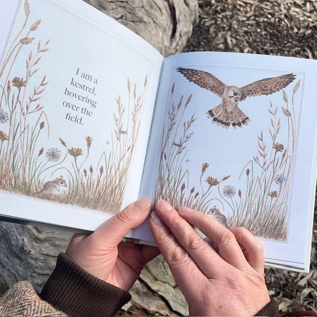 I am a Magpie, I am a Currawong ~ CBCA 2025 Shortlist Book