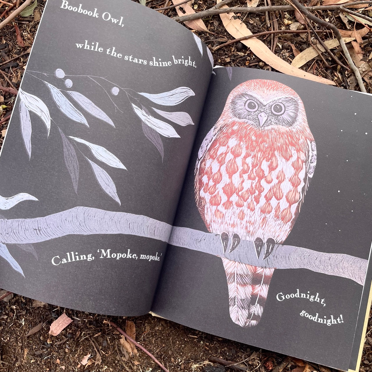 Kookaburra Kookaburra - Children's Book