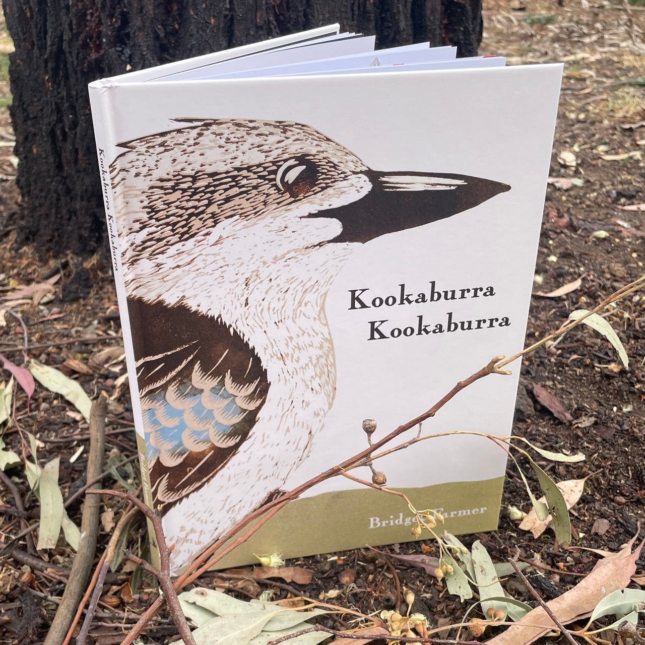 Kookaburra Kookaburra - Children's Book