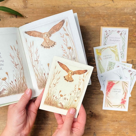 Greeting Card - Nankeen Kestrel and Dunnart "I am a Magpie" Collection