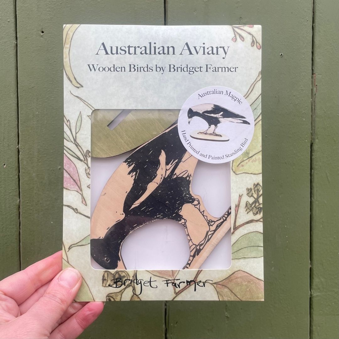 Standing Bird - Australian Magpie