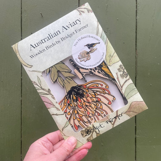 Standing Bird - New Holland Honeyeater