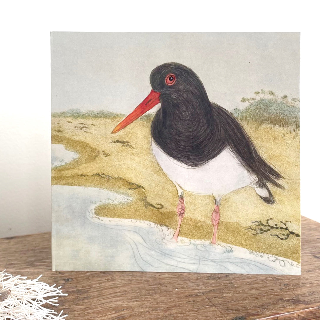 QUICK ORDER - 18 x Beach Bird Greeting Cards (3 x 6 designs)