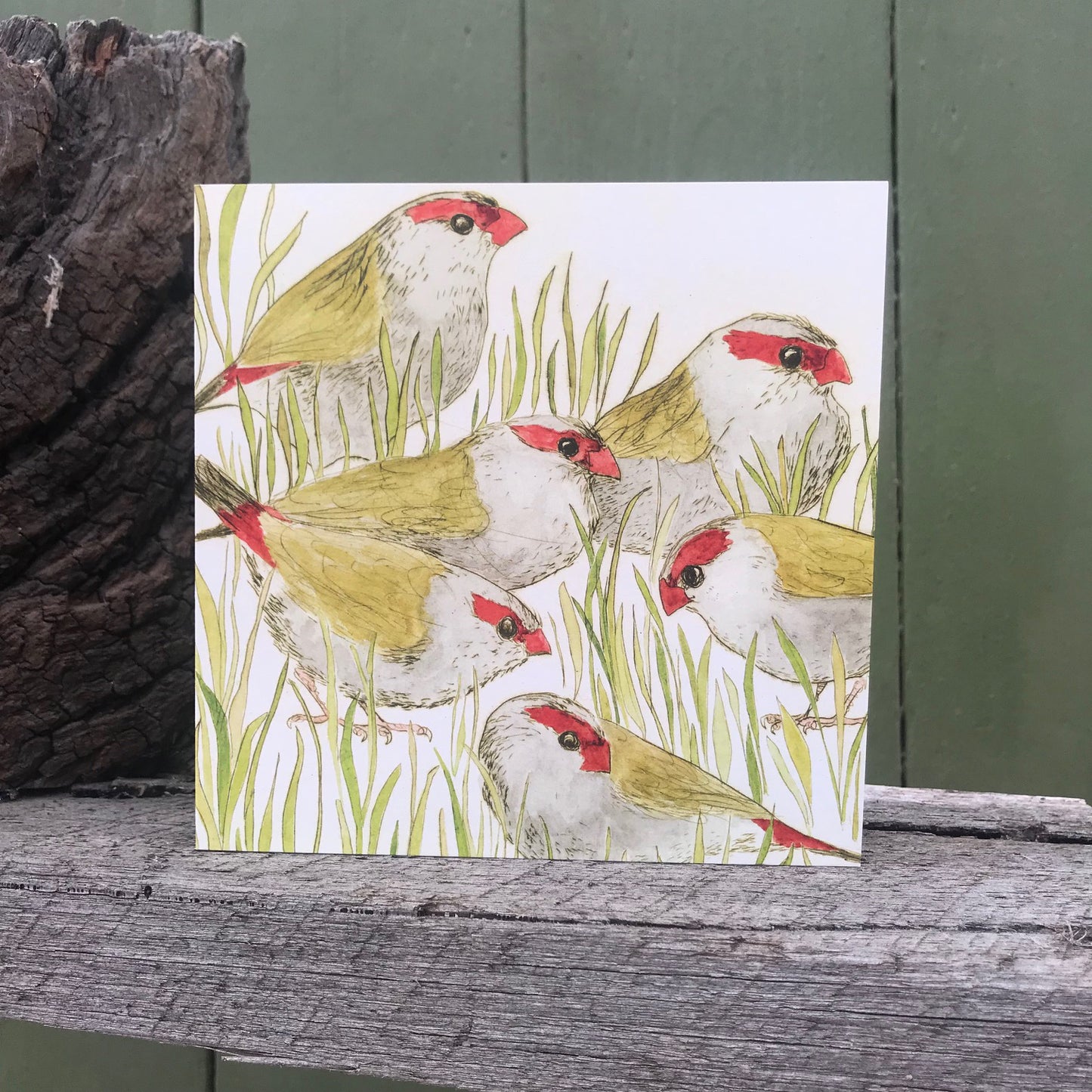 QUICK ORDER - 18 x Bush Bird Greeting Cards (3 x 6 designs)