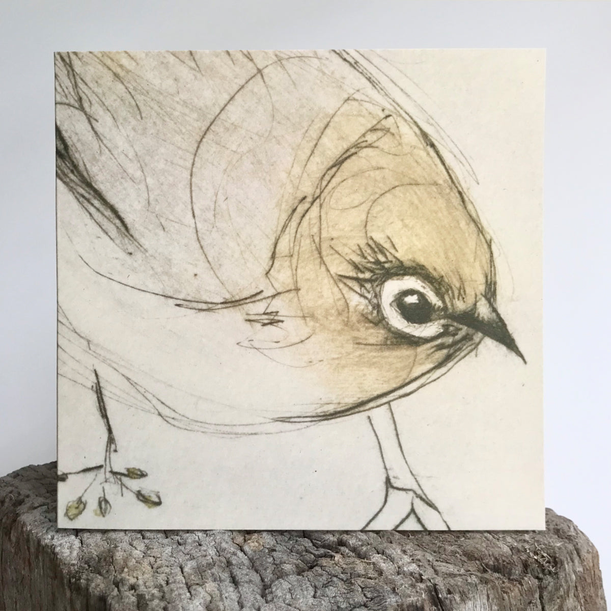 QUICK ORDER - 18 x Gallery Collection Greeting Cards (3 x 6 designs)