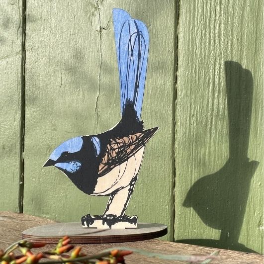 Standing Bird - Superb Fairy Wren