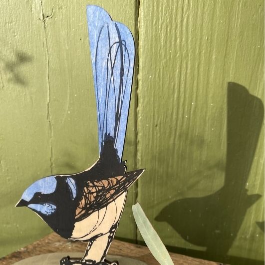 Standing Bird - Superb Fairy Wren