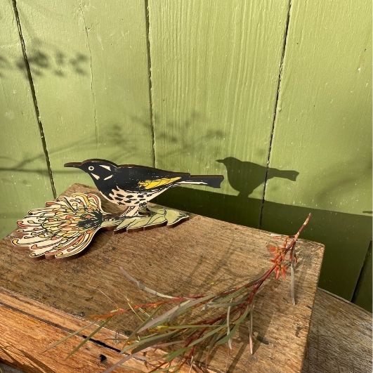 Standing Bird - New Holland Honeyeater