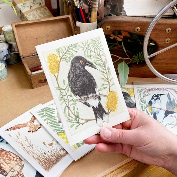 Greeting Card - Pied Currawong "I am a Magpie" Collection