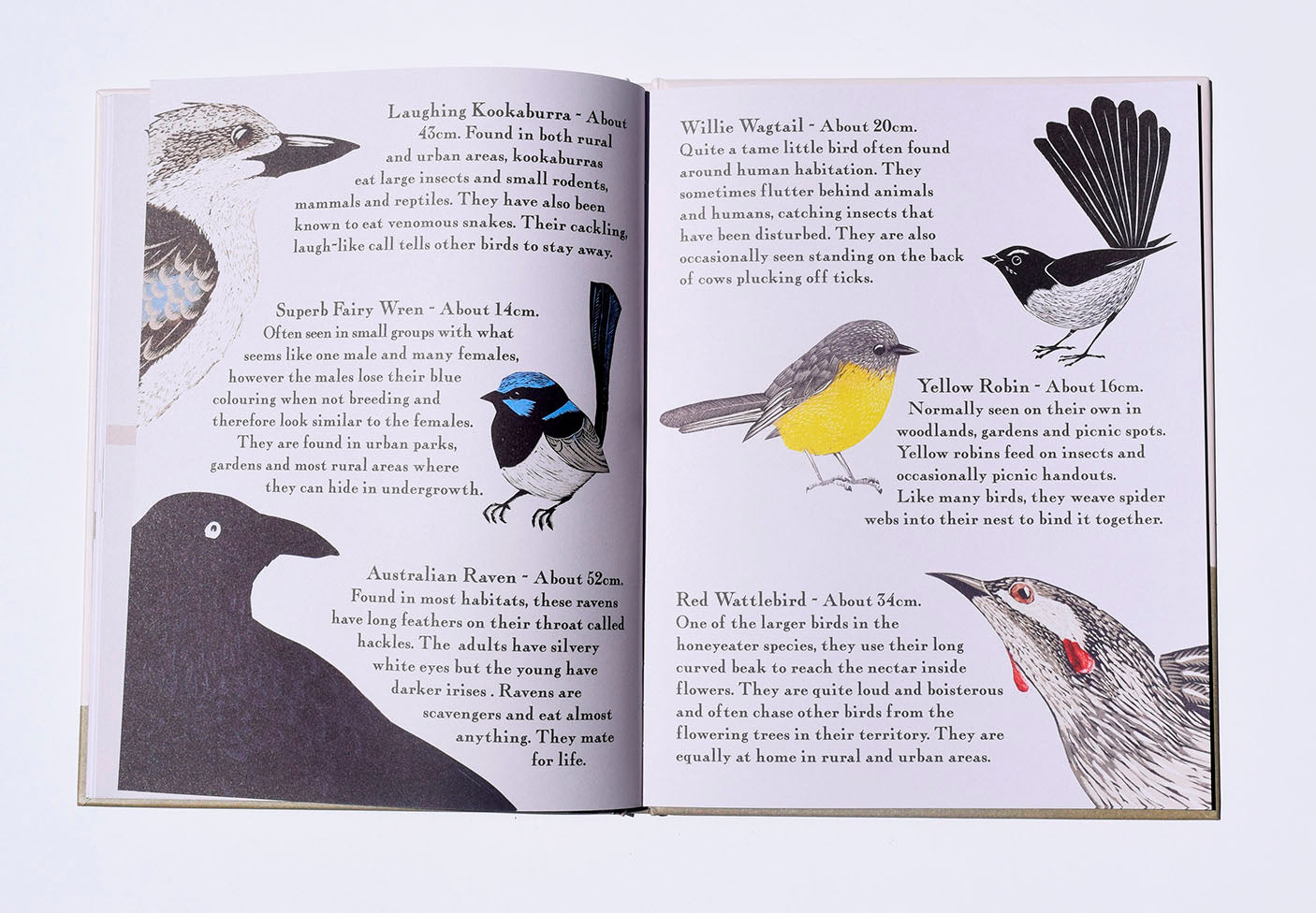 Kookaburra Kookaburra - Children's Book