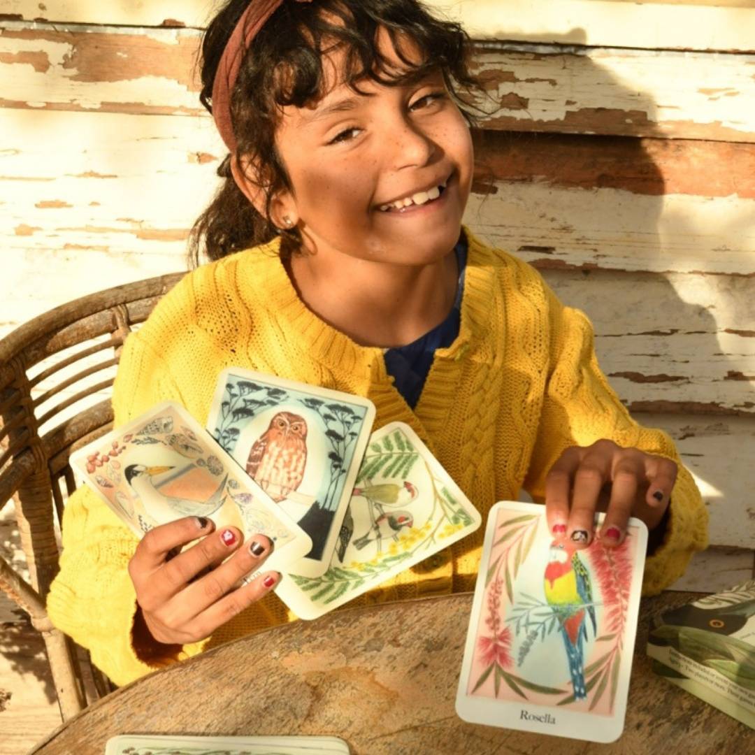 I am a Magpie I am a Currawong - Card Game