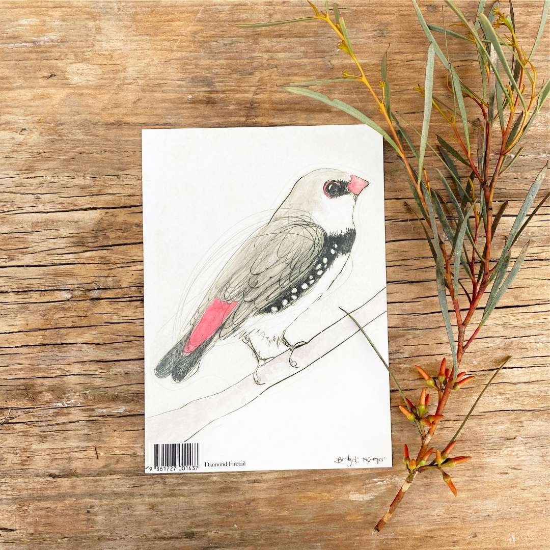 Diamond Firetail Sticker