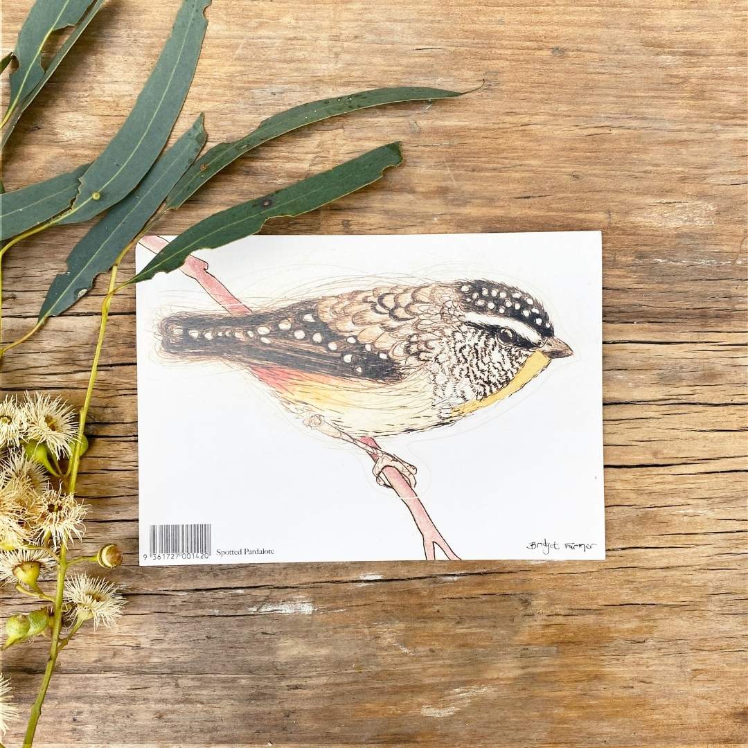 Spotted Pardalote Sticker