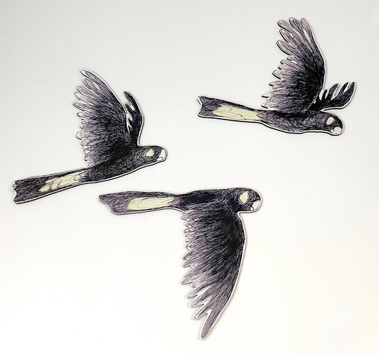Australian Aviary ~ Wall Decorations ~ Yellow-tailed Black Cockatoos (set of 3)