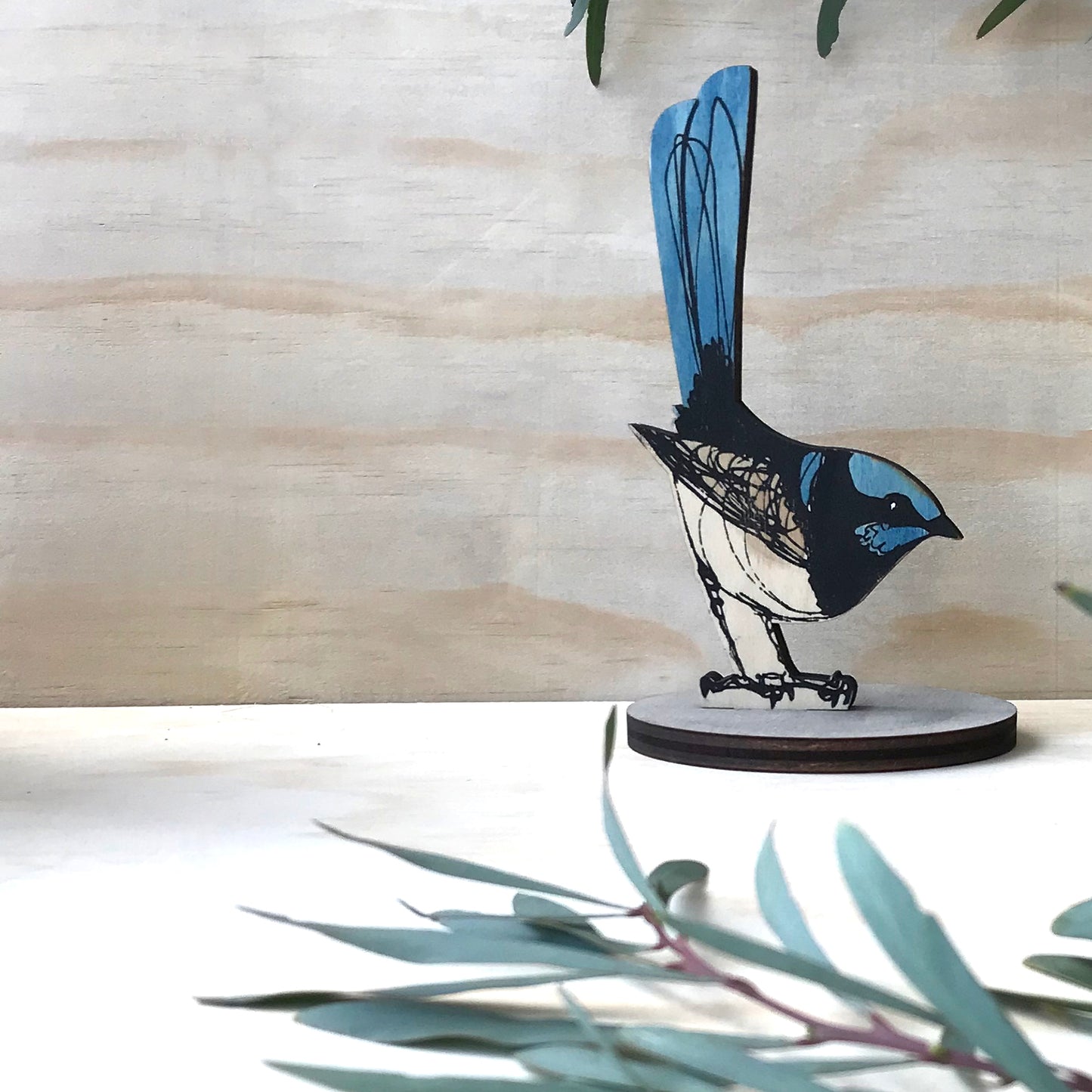 Standing Bird - Superb Fairy Wren