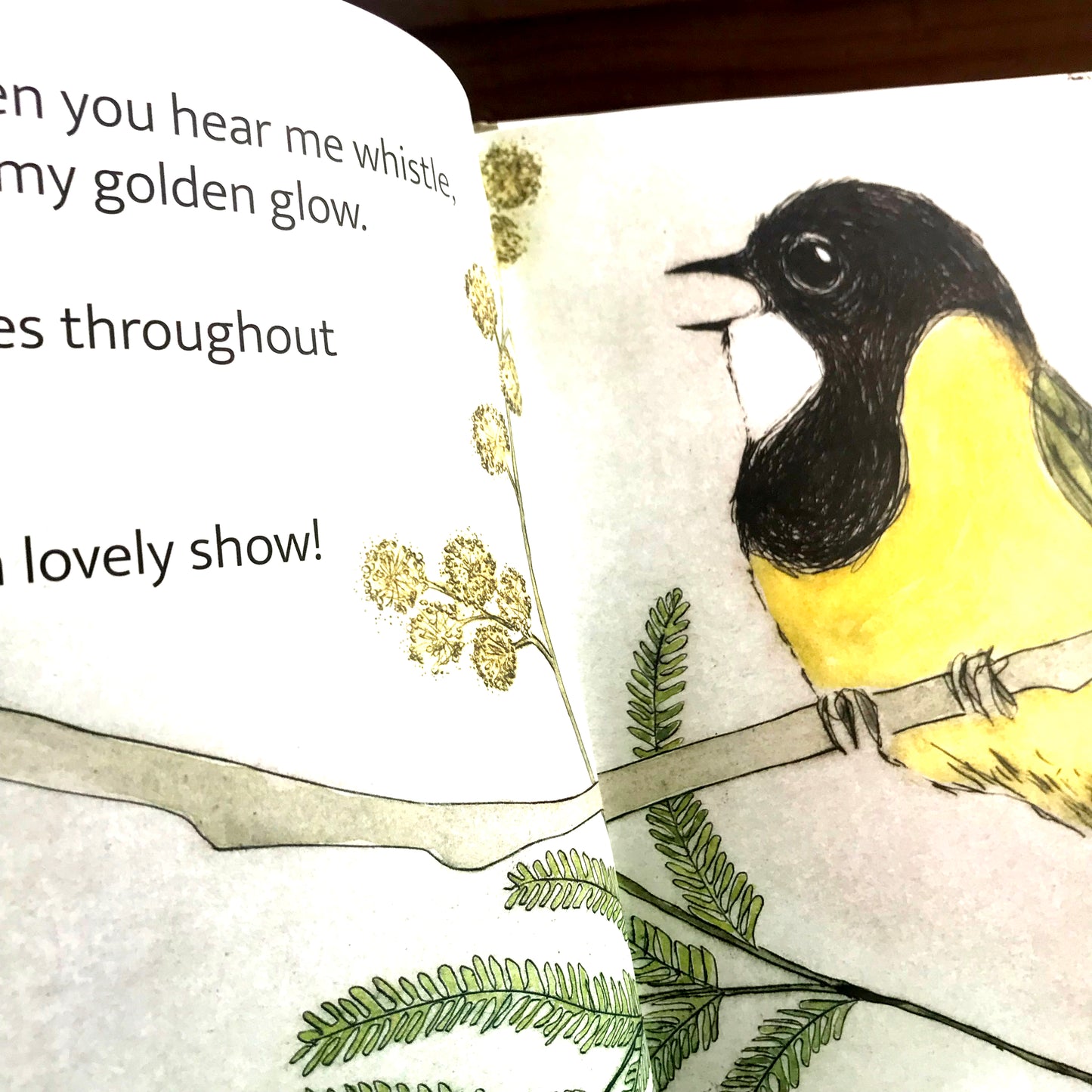 The Bush Birds - Children's Lift The Flap Book ~ CBCA 2022 Notable Book