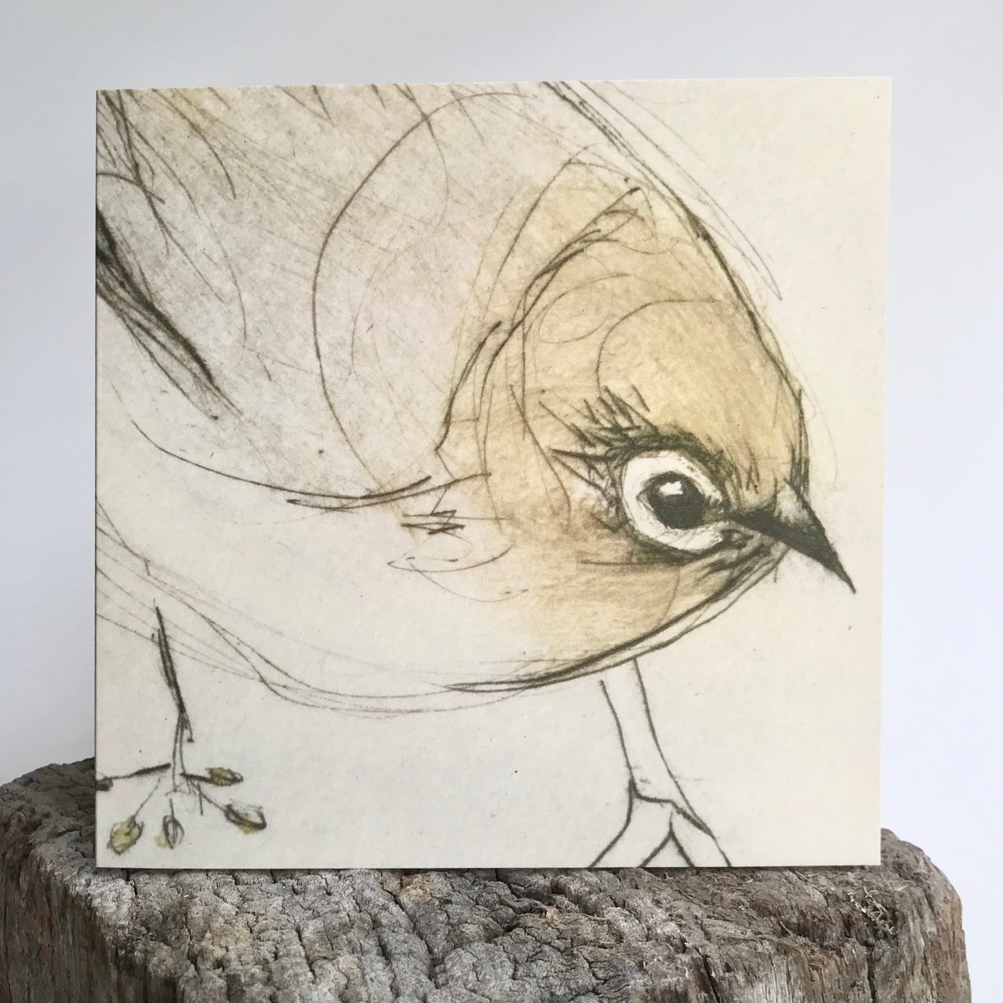 Greeting Card - Silvereye In The Fennel