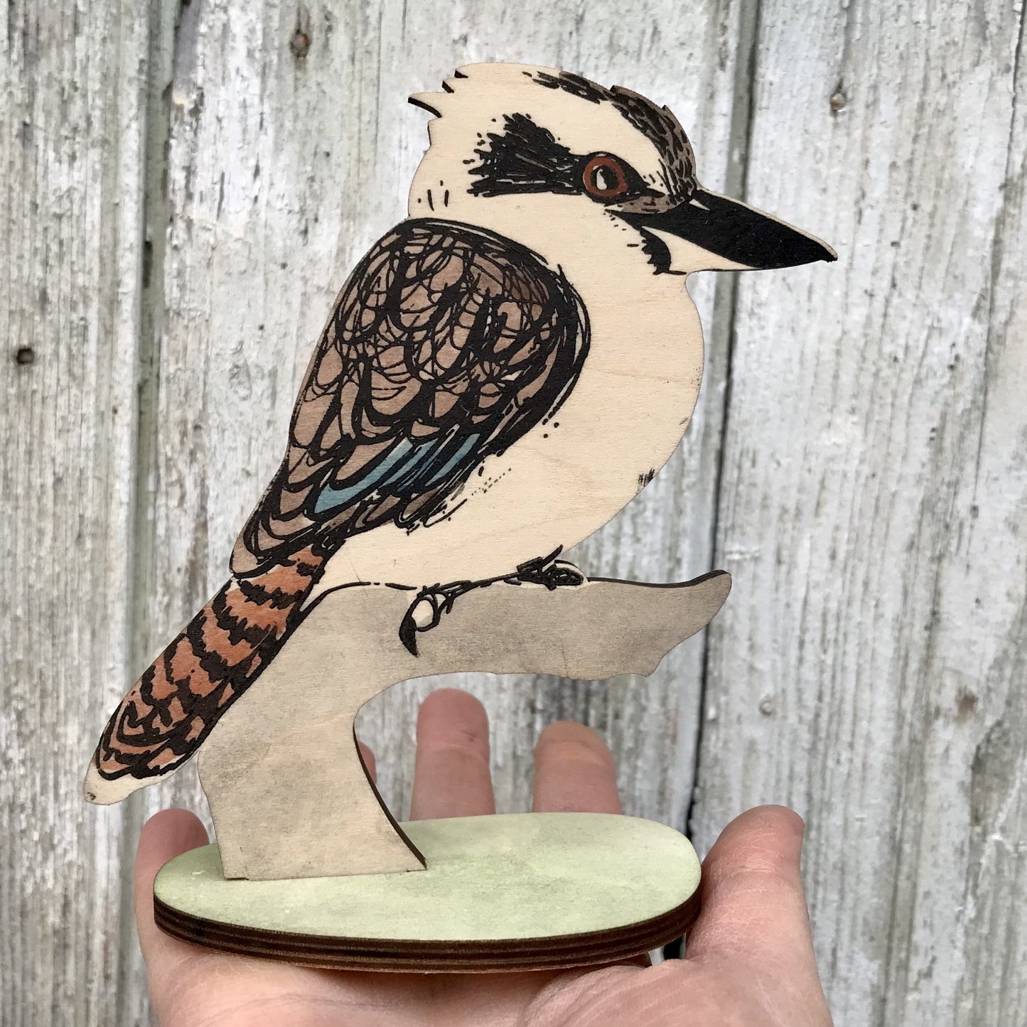 Standing Bird - Laughing Kookaburra