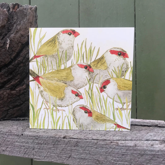 Greeting Card - Red-browed Finches "The Bush Birds" Collection