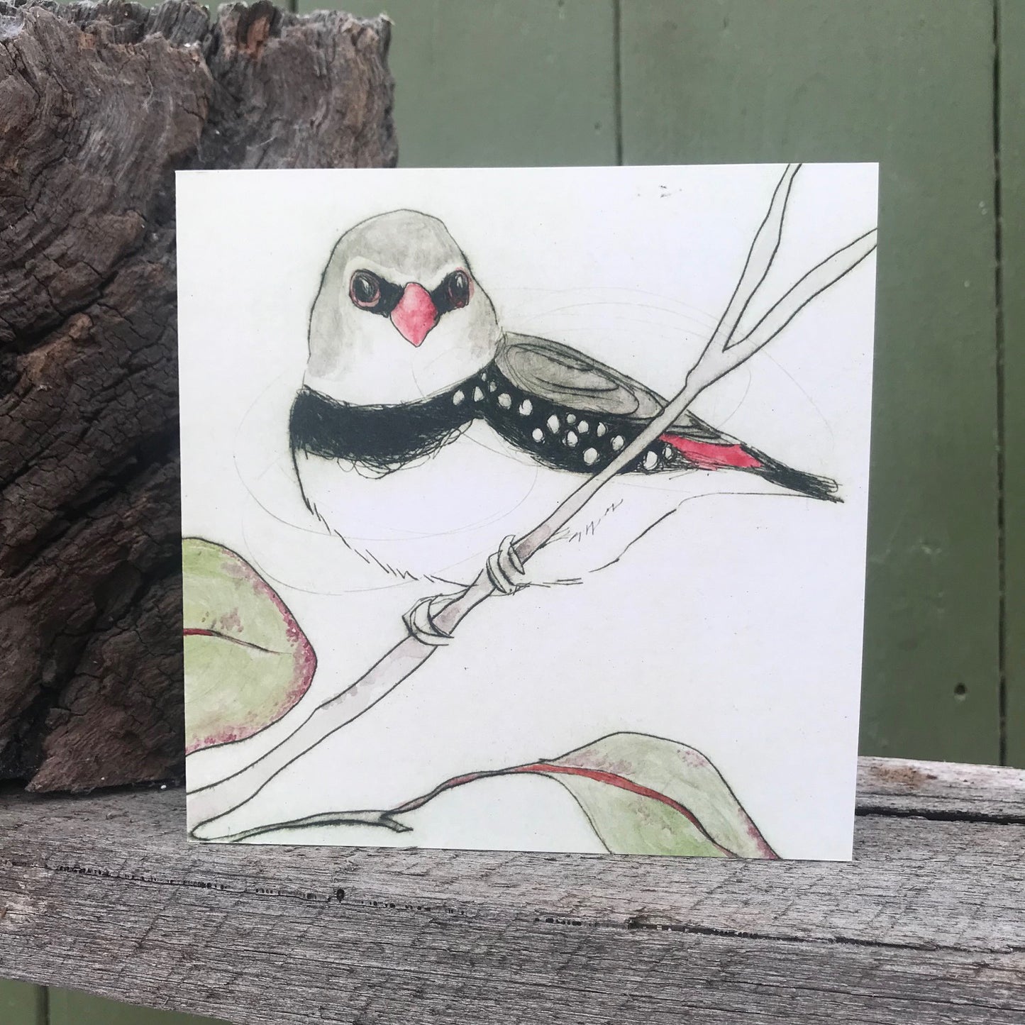 Greeting Card - Diamond Firetail "The Bush Birds" Collection