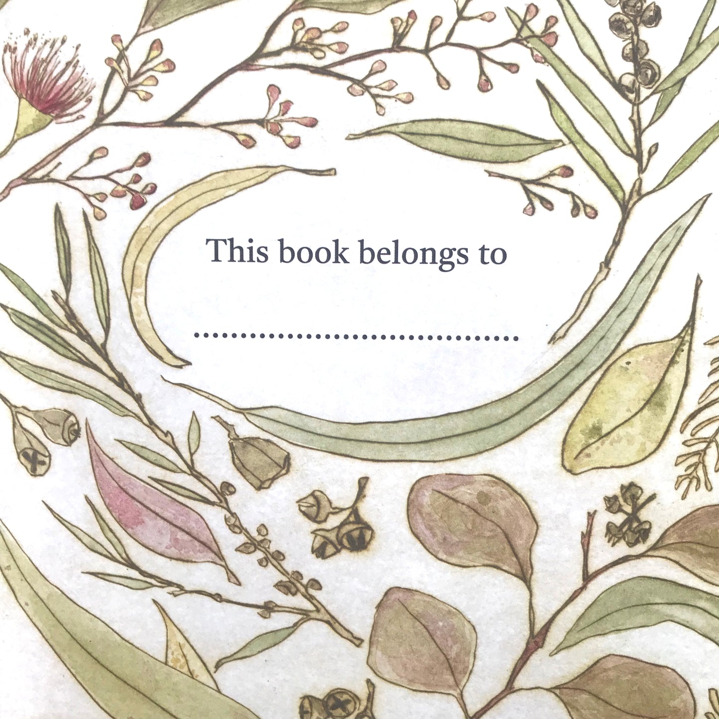The Bush Birds - Children's Lift The Flap Book ~ CBCA 2022 Notable Book