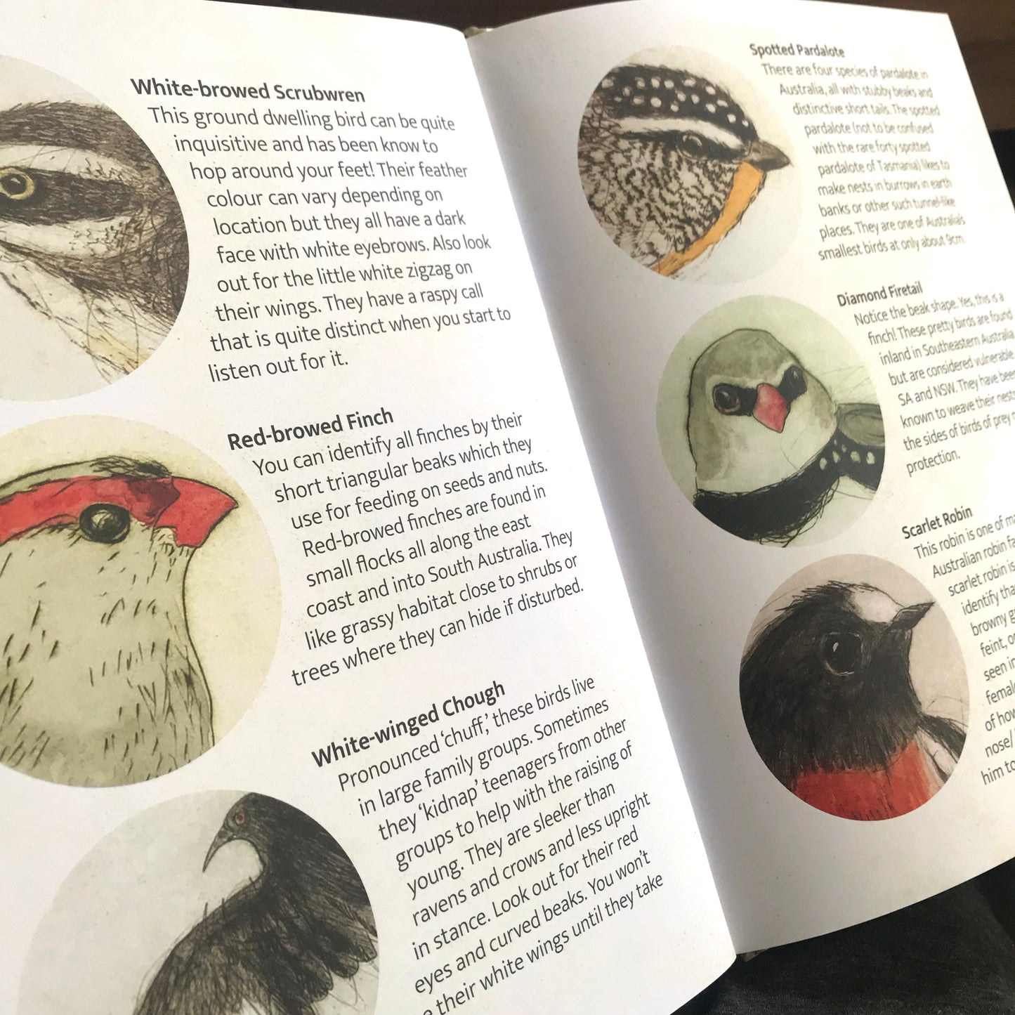 The Bush Birds - Children's Lift The Flap Book ~ CBCA 2022 Notable Book