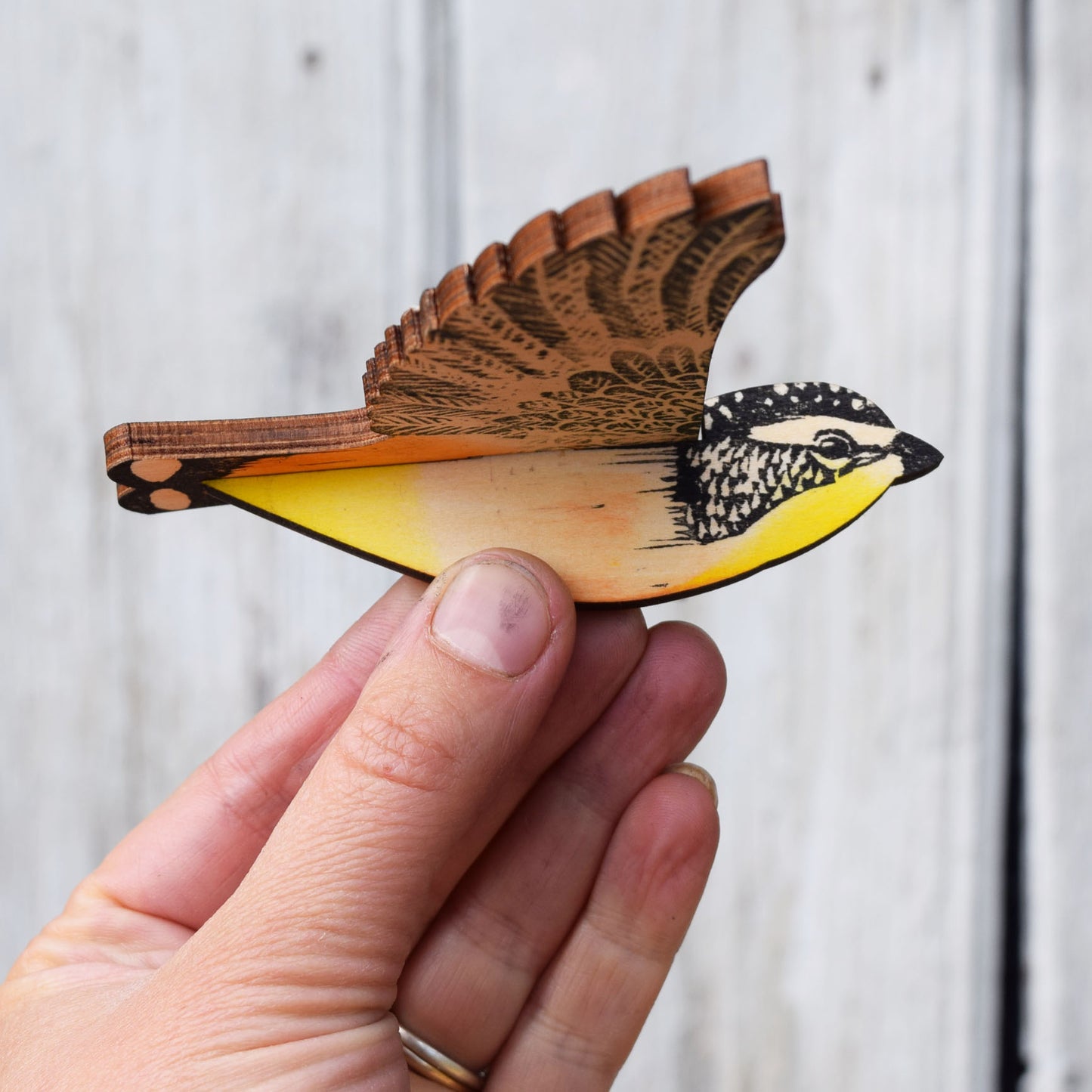 Mobile - Spotted Pardalote