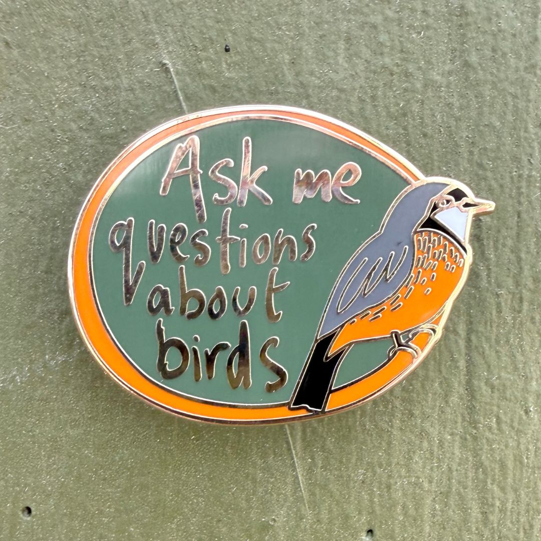 Ask me questions about birds -Rufous Whistler Enamel Pin
