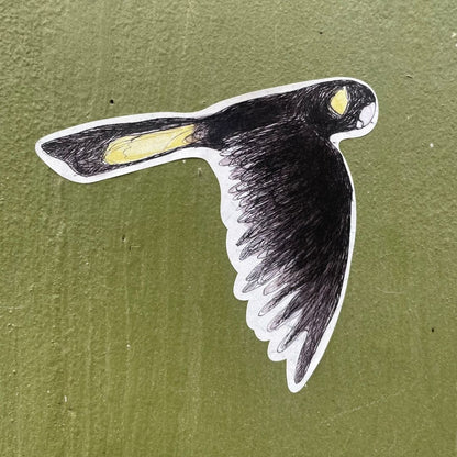 Yellow-tailed Black Cockatoo Sticker 2