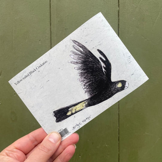 Yellow-tailed Black Cockatoo Sticker 3
