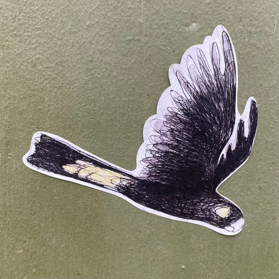 Yellow-tailed Black Cockatoo Sticker 3