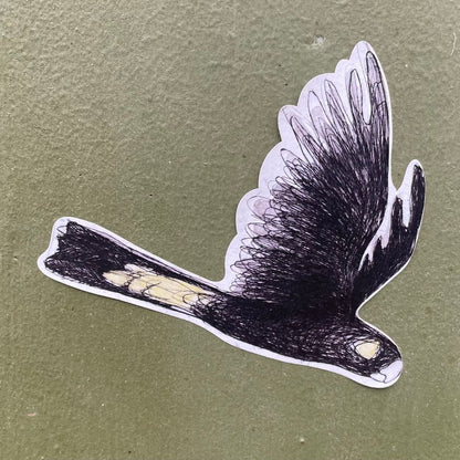 Yellow-tailed Black Cockatoo Sticker 3