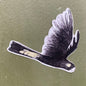 Yellow-tailed Black Cockatoo Sticker 3