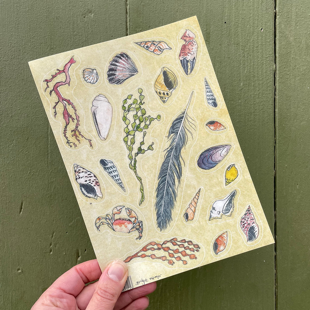 Australian Beach Sticker Sheet A5