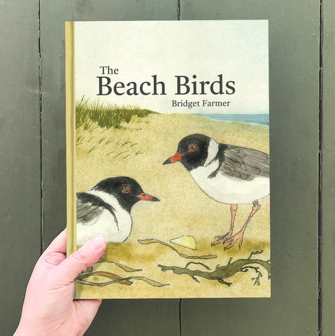 The Beach Birds - Children's Lift The Flap Book