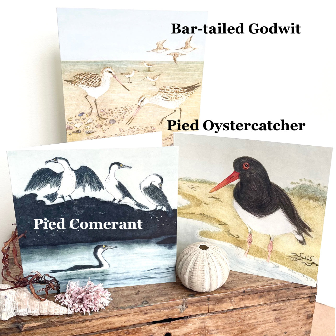 QUICKORDER SET -  18 x Beach Bird Greeting Cards CELLO SLEEVES (3 x 6 designs)