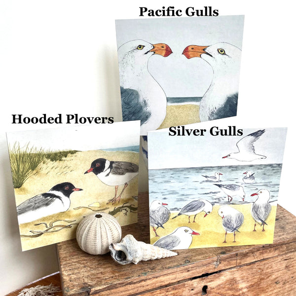 QUICKORDER SET -  18 x Beach Bird Greeting Cards CELLO SLEEVES (3 x 6 designs)