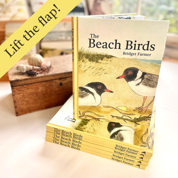 The Beach Birds - Children's Lift The Flap Book