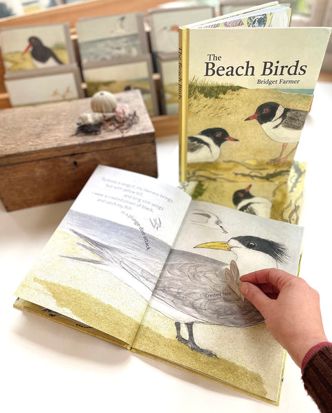 The Beach Birds - Children's Lift The Flap Book