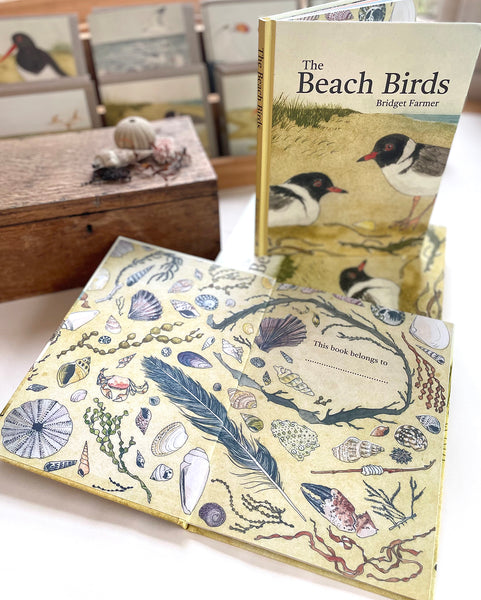 The Beach Birds - Children's Lift The Flap Book