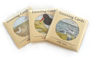 Greeting Cards - Collection of Six Cards of The Beach Birds Illustrations